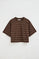 Striped T-shirt in chocolate and light brown with boxy fit and Polo Club patch